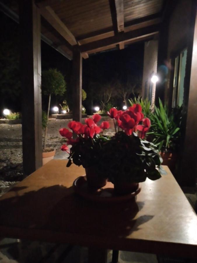 Hotel B&B Resort Fonte La Castellana 萨尔纳诺 外观 照片